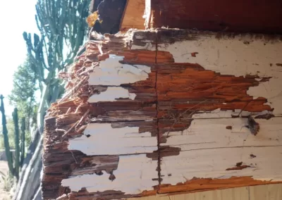 Local Construction Contractors in Canoga Park CA